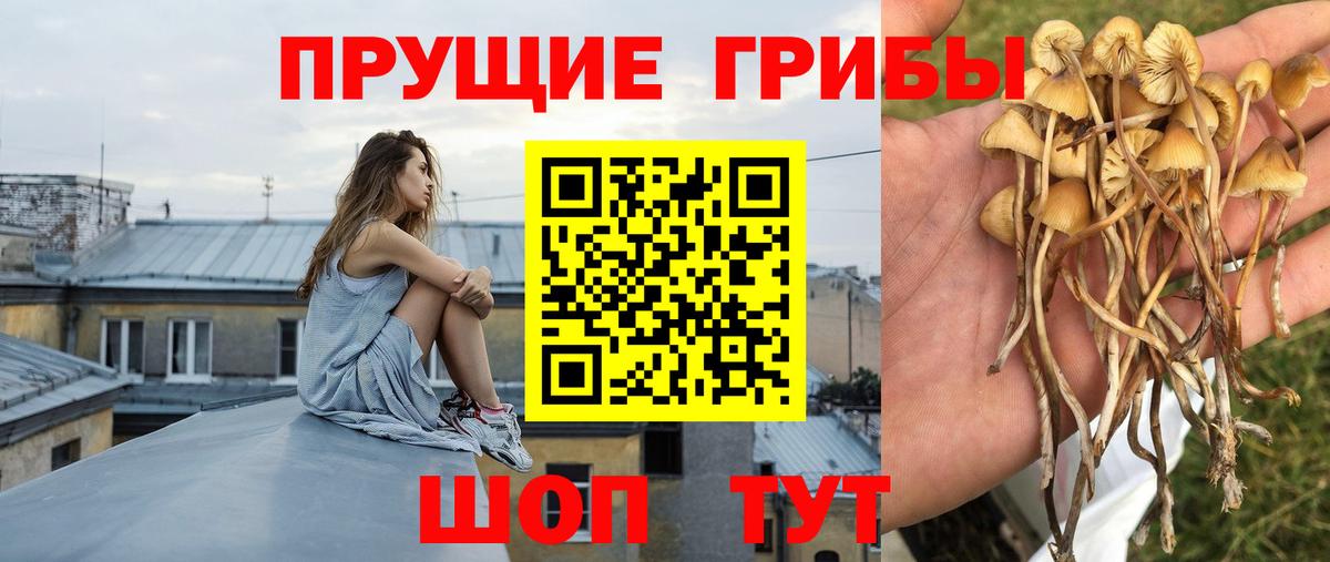 Галлюциногенные грибы мицелий Бор